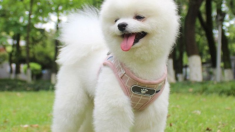 低温冷水机组：揭秘其背后的技术挑战与行业排名